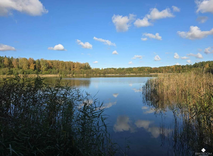 Działka Targowska Wola Targowska Wola