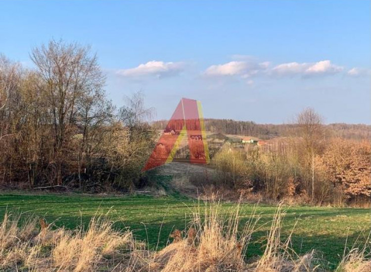Działka Burów ul. Burów Burów