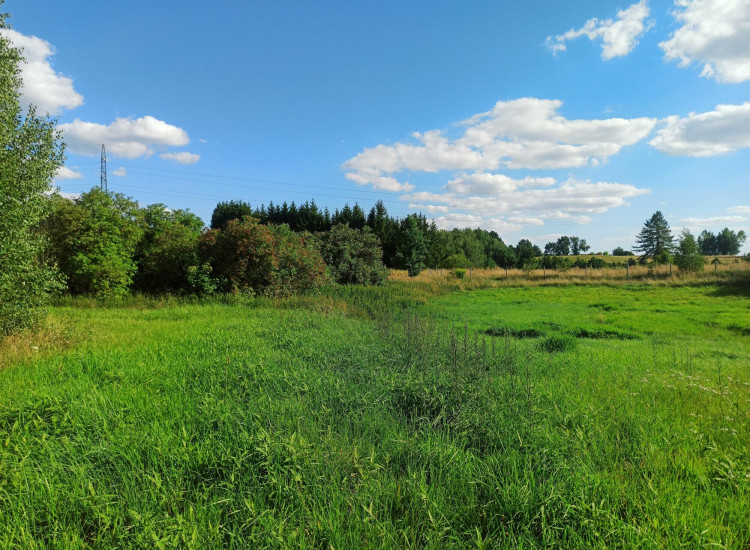 Działka Zwierzewo Zwierzewo