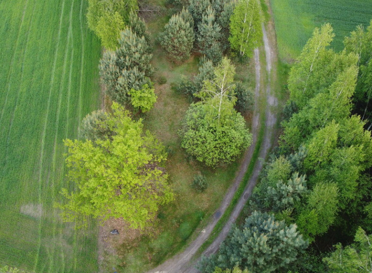 Działka o  pow. 1,63 ha w Karolowie gm. Chotcza. Karolów