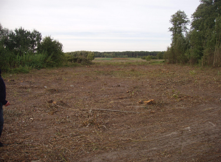 Działka Klembów Klembów