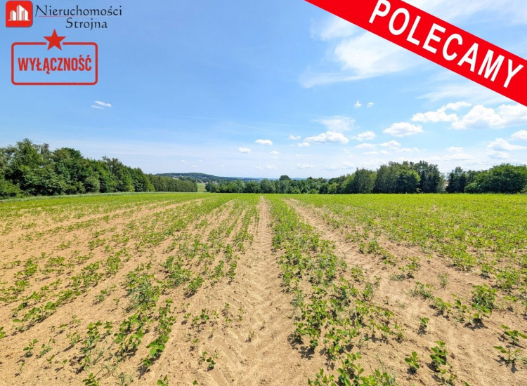 Działka Sławkowice Sławkowice