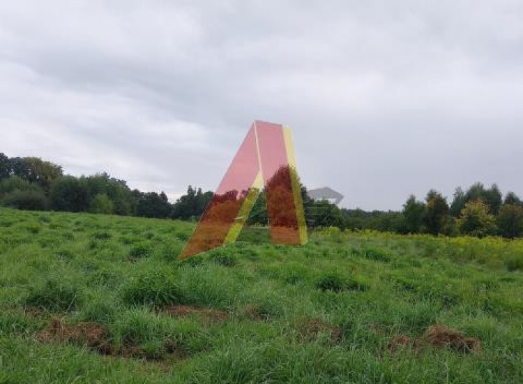Działka Kleszczów ul. Kleszczów Kleszczów