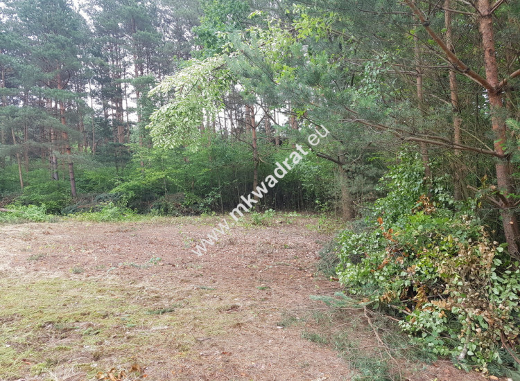 Okolice Grodziska Maz 1600m2 od mkwadrat.eu Musuły