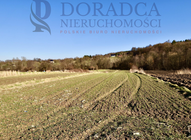 Działka Ryczów ul. Spacerowa Ryczów