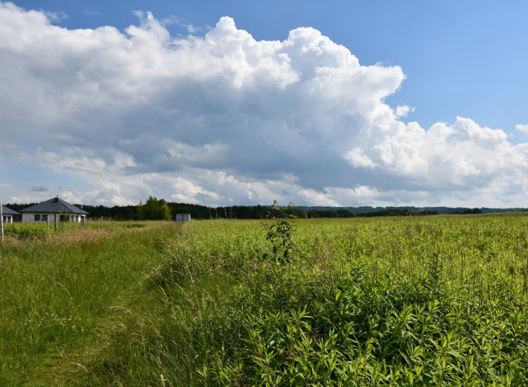 Działka inwestycyjna 81.7a w Krasne Krasne
