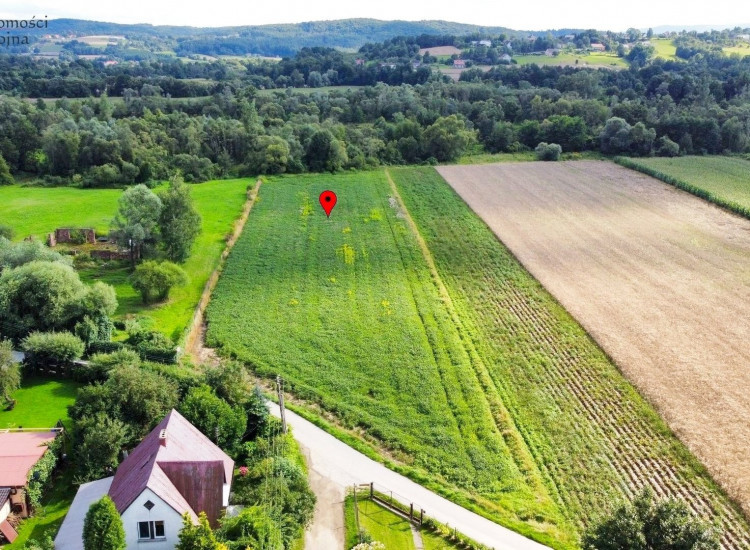 Działka Winiary Winiary