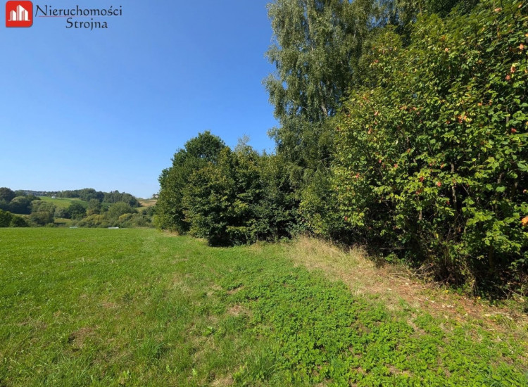 Działka Janowice Janowice