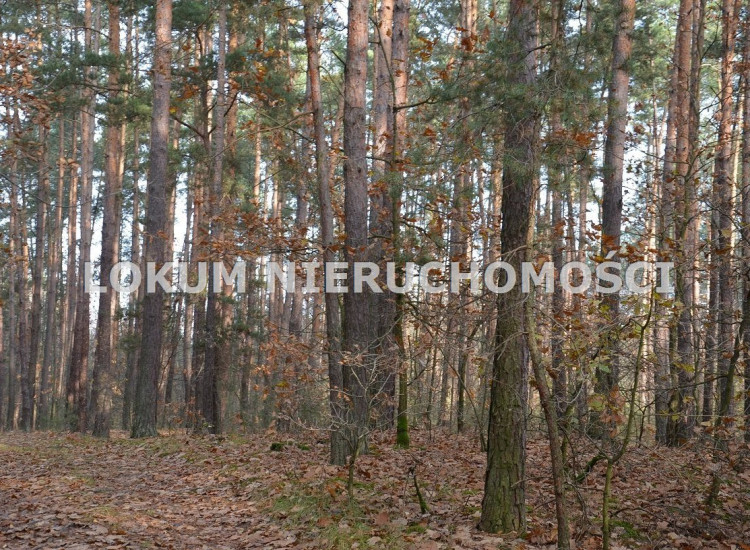 Działka Gruszów Wielki Gruszów Wielki
