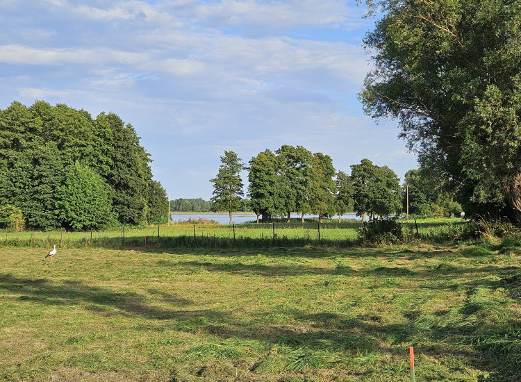 Działka 1000m2 z bezterminowymi wz Matyty Matyty
