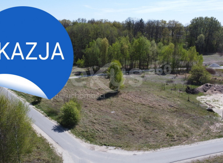 Odkryj Magię Podkowy Leśnej–Perła Nadolic Wielkich Nadolice Wielkie