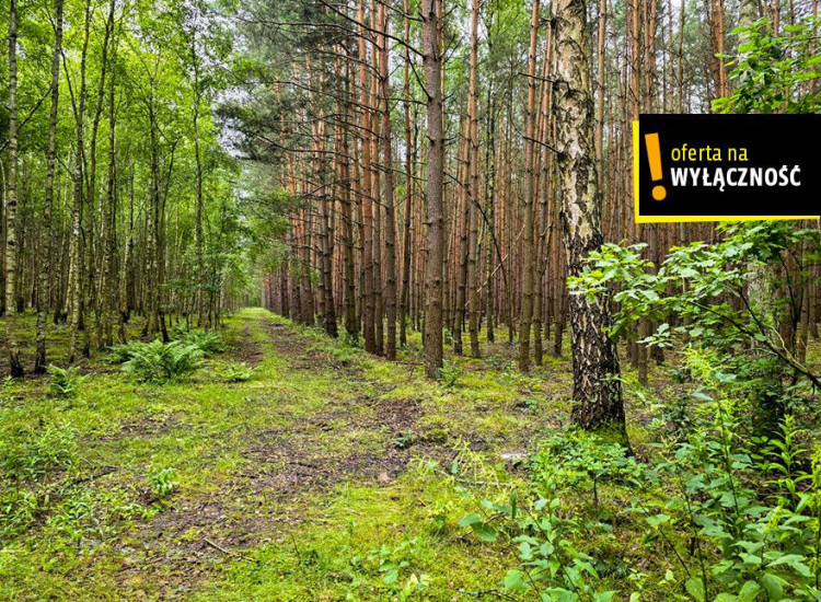 Działka Strzegomek ul.   Strzegomek