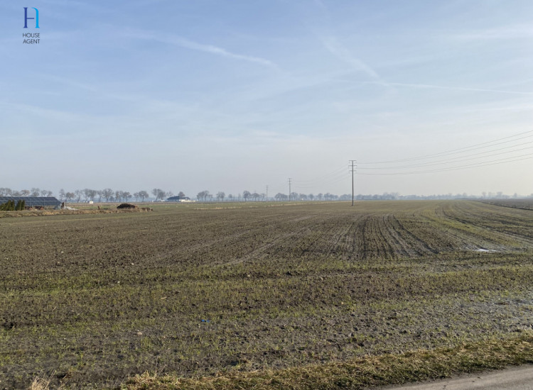 Działka Uniejów ul. Polna Uniejów