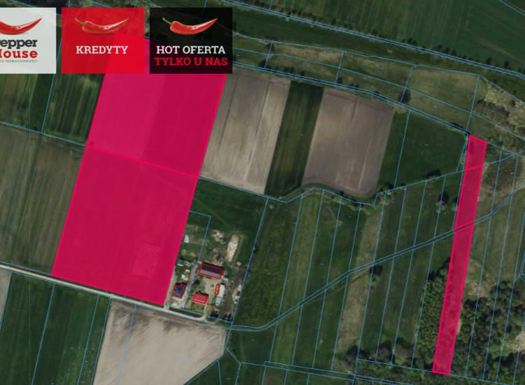 Działka Borki Lipkowskie ul.   Borki Lipkowskie