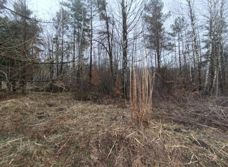 Działka Przyłogi ul.   Przyłogi