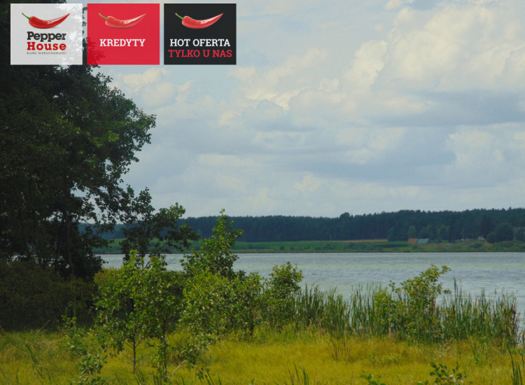 Działka Konarzyny ul.   Konarzyny