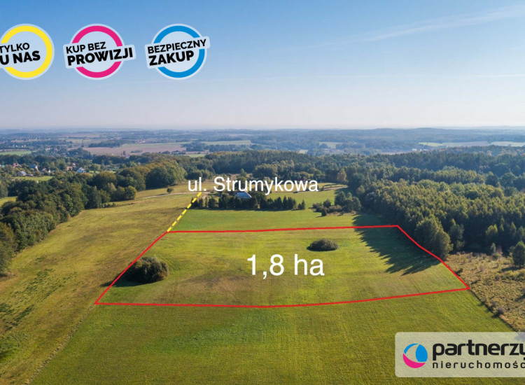 Działka Buszkowy ul. Strumykowa Buszkowy