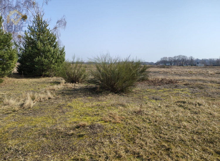 Działka Skarbikowo ul.   Skarbikowo