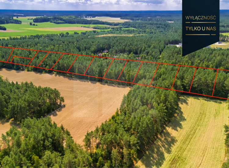 Kompleks 14 działek budowlanych w Niesiołowicach Niesiołowice