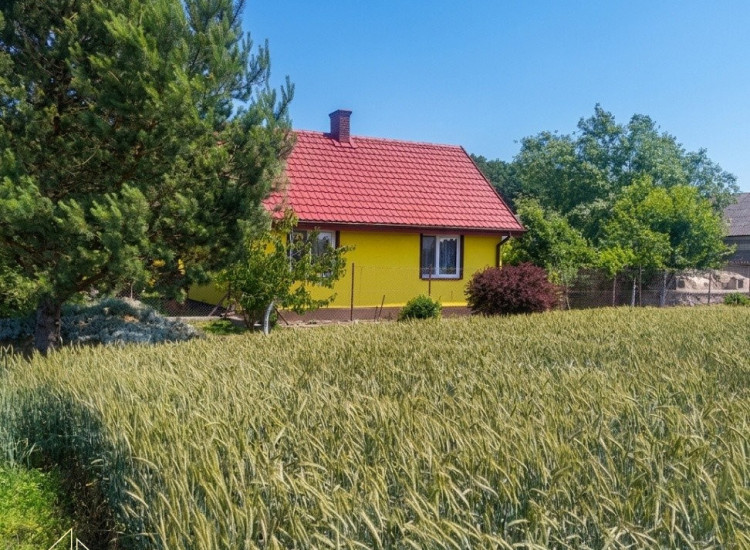 Siedlisko - dom, staw i budynki gospodarcze Młody Niedróż
