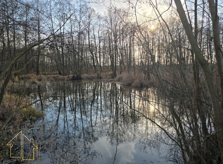 Działka z własnym stawem Strzałki