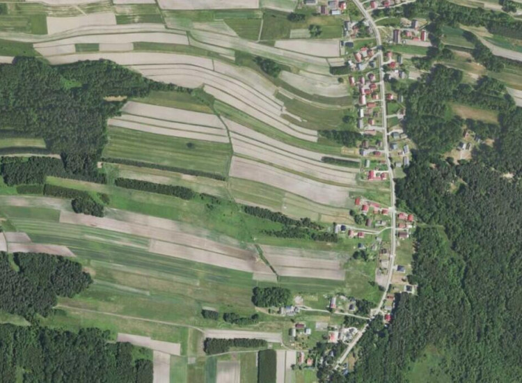 Działka Zasów Zasów