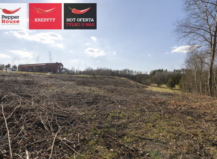 Działka Michalin ul. Żwirowa Michalin