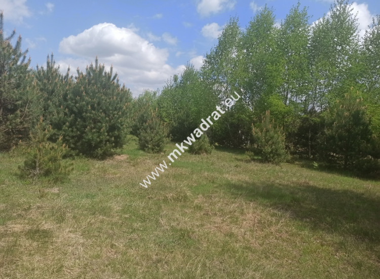Działka 1200m2 media MPZP Kuklówka Kuklówka Radziejowicka