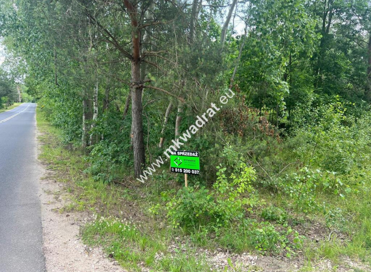 Ładna zalesiona działka z MPZP Ojrzanów Ojrzanów