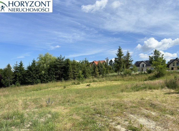 Czaple - dwie działki do wyboru Czaple
