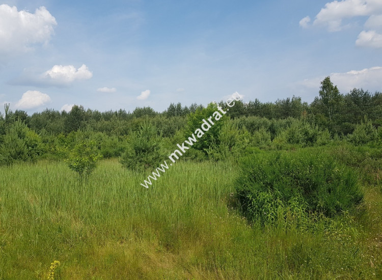 ⭐⭐⭐⭐⭐ Działka 4000  m²  - usługowo-budowlana MPZP! Grzegorzewice
