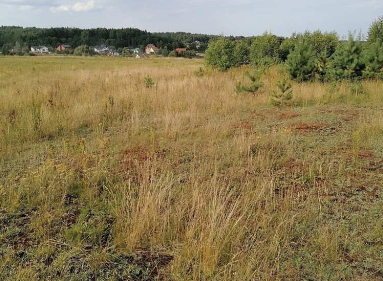 Koleczkowo - działki budowlane Koleczkowo