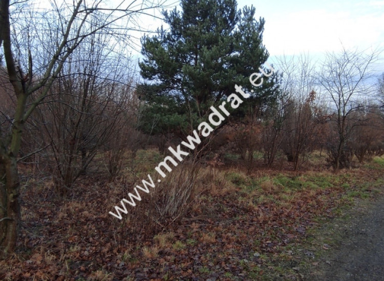 ⭐⭐⭐⭐  Działka Budowlana 1122 m Budy Grzybek ⭐⭐⭐⭐ Budy-Grzybek