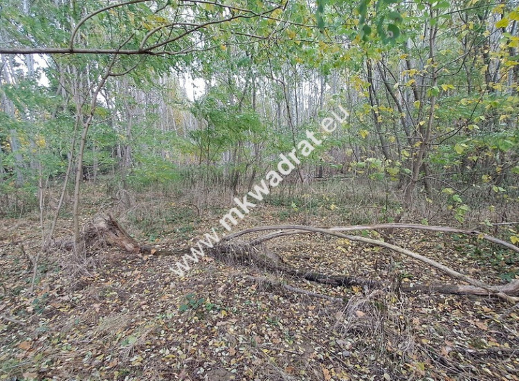 Atrakcyjna działka 1347m2, WYGLĘDY, Pod Kampinosem Wyględy