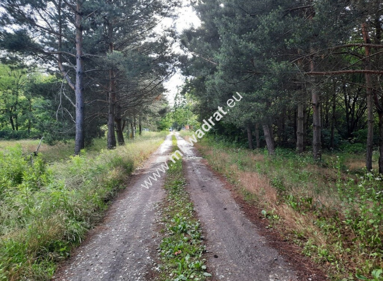 Działka budowlana na terenie leśnym MPZP Strzeniówka