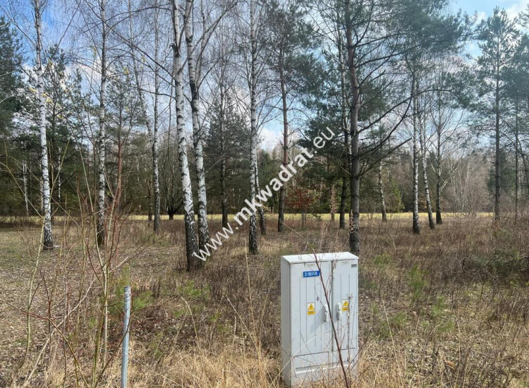 Piękna działka Tłumy gm.Mszczonów Tłumy