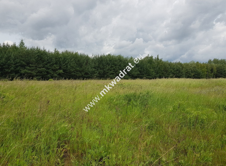 działka  inwestycyjna powyżej 1 ha Jaktorów-Kolonia