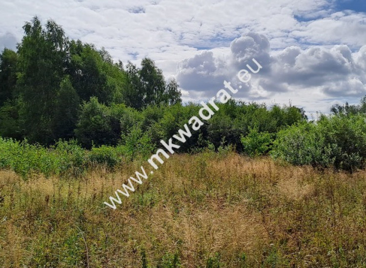 Działka budowlana, Stara Wieś, 3500 m2. MPZP Stara Wieś