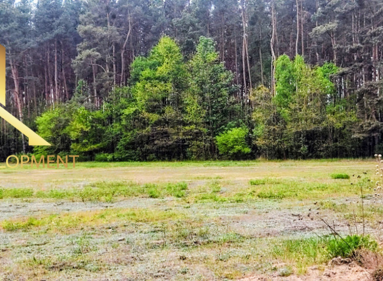 Działka Mieszkowo ul. Traktowa Mieszkowo