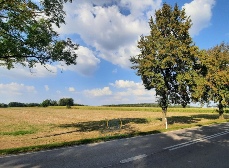 Działka Rudno ul.   Rudno