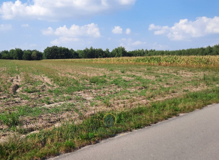 Działka Rudno ul.   Rudno
