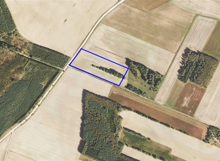 *Działka rolna 1,4 ha*Nowinka*gm. Szudziałowo* Szudziałowo
