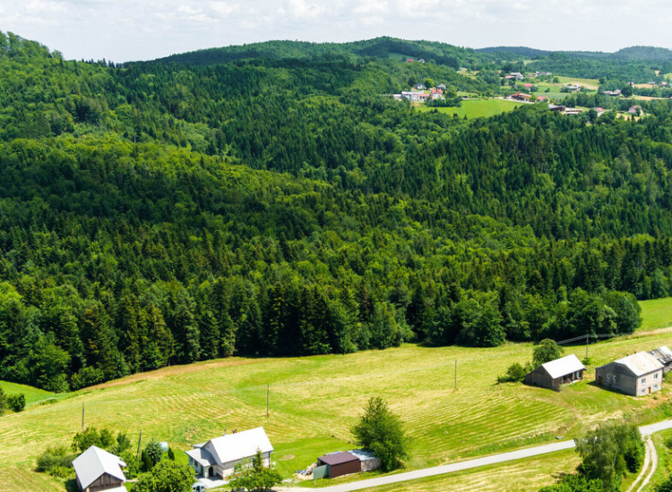 Działka rolno-leśna- Żurowa- Małopolska Żurowa