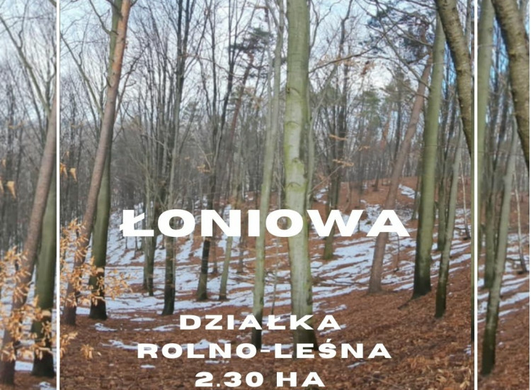 Łoniowa działka rolno-leśna 2,30 ha Łoniowa