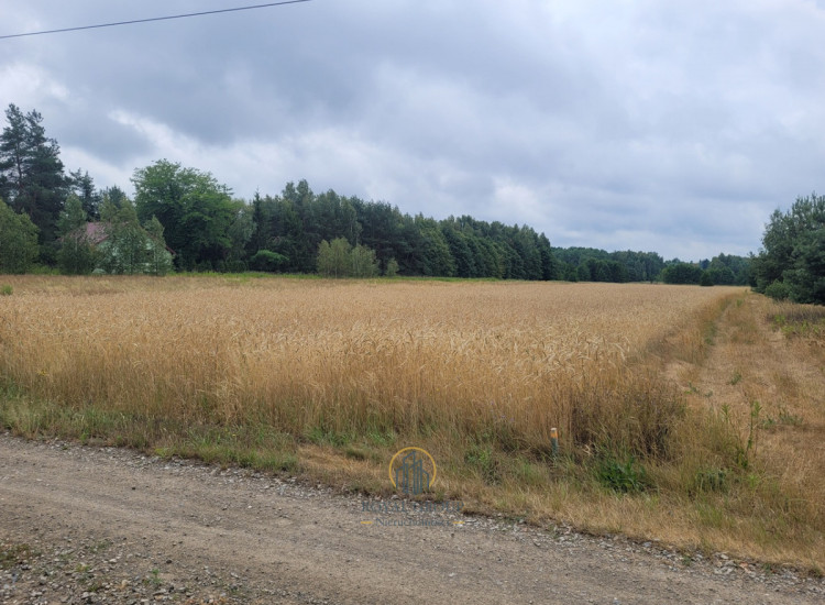 Działka Łucka-Kolonia ul.   Łucka-Kolonia