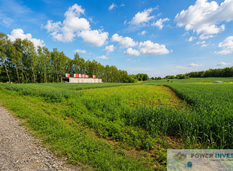 działka budowlana Bodzanów 610m2 przy lesie Bodzanów
