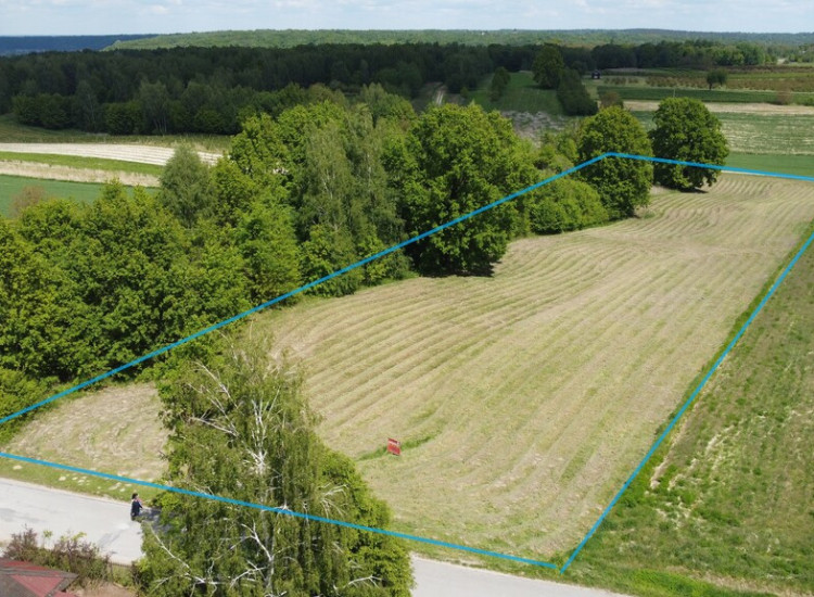 Działka 8713 m2 (piękny widok) w Kazimierzy Dolnym Kazimierz Dolny