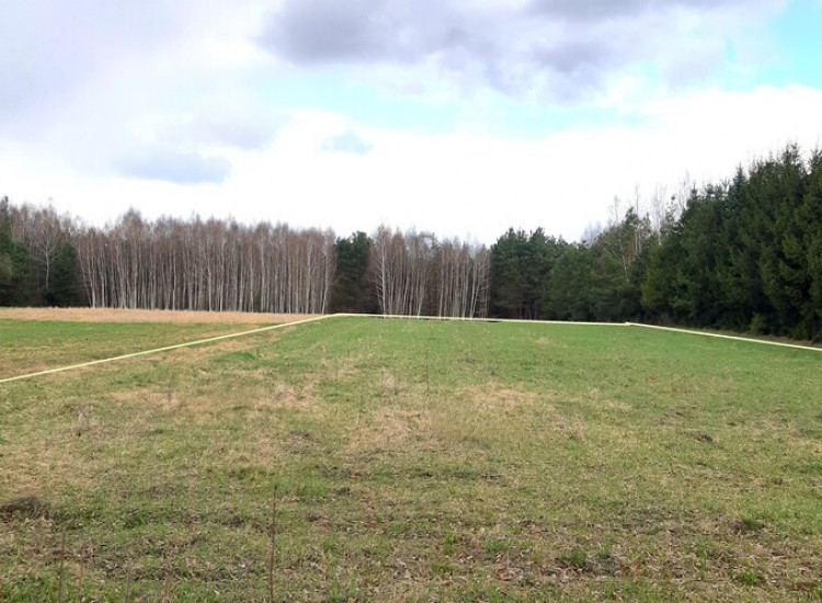 2 działki, przy lesie, blisko Chańczy. Życiny