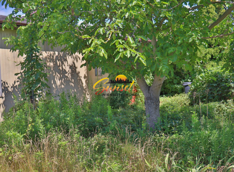 DziałkaBudowlna,pow.314m²,Dom,pow.60 m²,Media,MPZP,AtrakcyjnaOkolica Ząbki