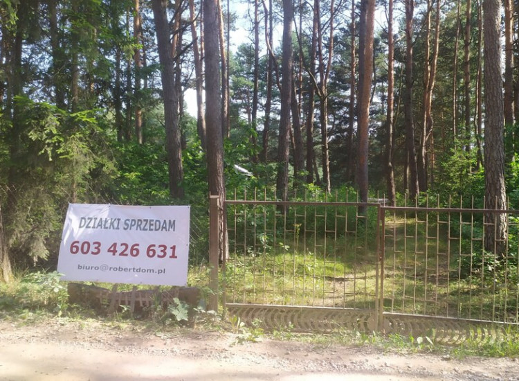 Działka w lesie. Kuby-Młyny